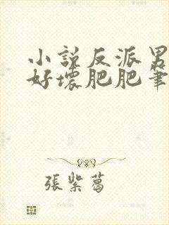 小说反派男主你好坏肥肥笔趣
