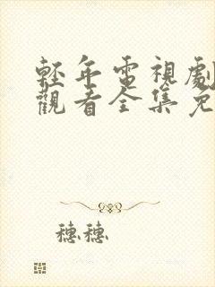 轻年电视剧在线观看全集免费