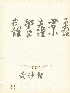 我那夫君柔弱不能自理小说全文免费阅读