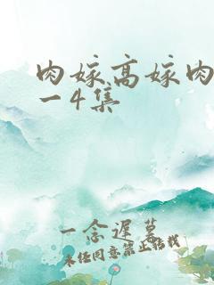 肉嫁高嫁肉柳1一4集