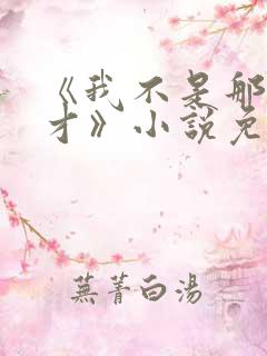 《我不是那种人才》小说免费阅读