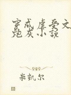 穿成虐受文里的炮灰小说