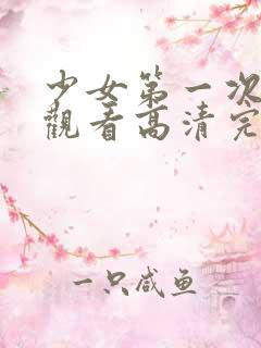 少女第一次在线观看高清完整版免费