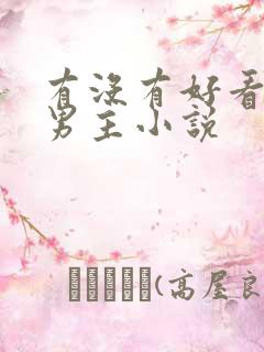 有没有好看的双男主小说