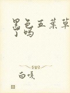 黑色五叶草2出了吗