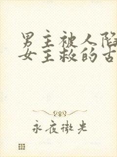 男主被人陷害被女主救的古言