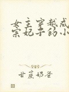 女主穿越成宋仁宗妃子的小说