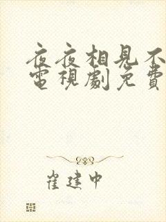 夜夜相见不识君电视剧免费