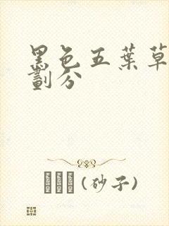 黑色五叶草篇章划分