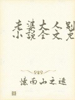 老婆大人别想逃小说全文免费阅读