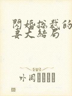 闪婚总裁的契约妻大结局