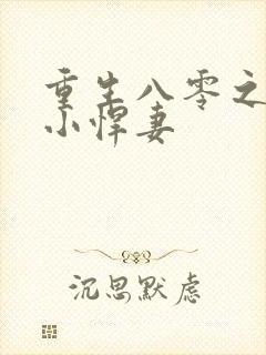 重生八零之家有小悍妻