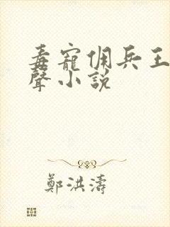 毒宠佣兵王妃有声小说