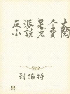 反派是个大好人小说免费阅读