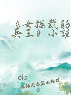 《女总裁的贴身兵王》小说