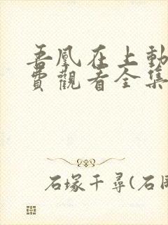 吾凰在上动漫免费观看全集完整版