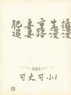 肥妻重生摄政王追妻路漫漫大结局