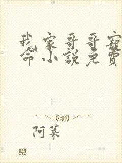 我家哥哥宠妹如命小说免费阅读