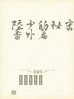 陆少的秘密恋人番外篇