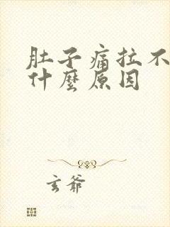 肚子痛拉不出尿什么原因