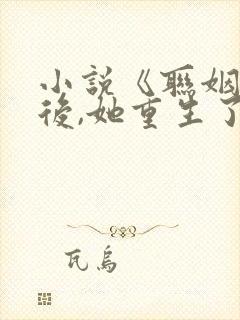 小说《联姻五年后,她重生了》