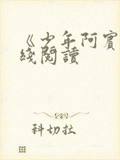 《少年阿宾》在线阅读