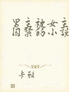 男主被女主改造囚禁的小说