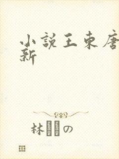 小说王东唐潇最新