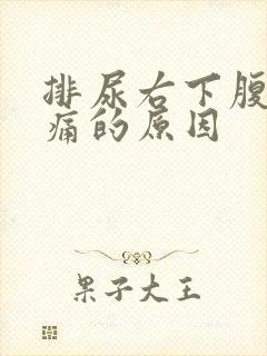 排尿右下腹部隐痛的原因