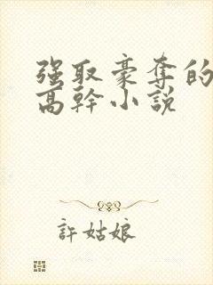 强取豪夺的男主高干小说