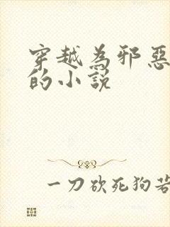 穿越为邪恶迪迦的小说