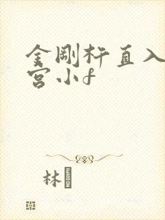 金刚杵直入莲花宫小f