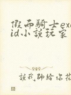 假面骑士exaid小说玩家