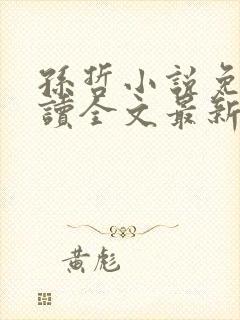 孙哲小说免费阅读全文最新章节