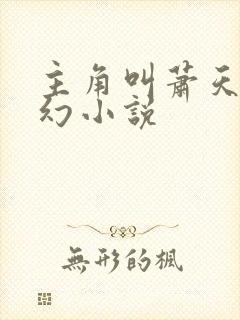 主角叫萧天的玄幻小说