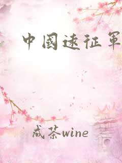 中国远征军下载