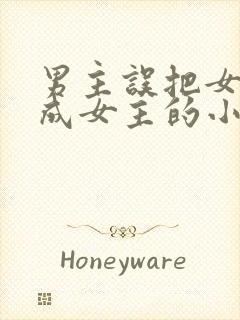 男主误把女二认成女主的小说