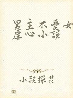 男主不爱女主的虐心小说