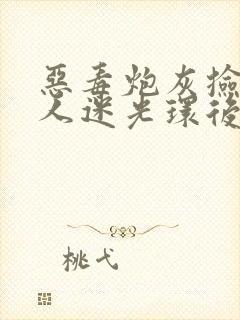 恶毒炮灰捡到万人迷光环后txt