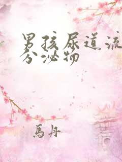 男孩尿道流黄色分泌物