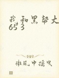 我和黑帮大佬365 3
