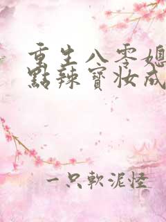 重生八零媳妇有点辣宝妆成