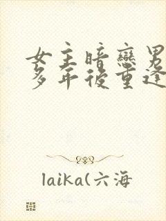 女主暗恋男主很多年后重逢