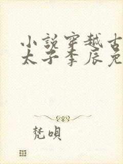 小说穿越古代当太子李辰免费阅读