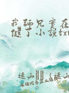 我师兄实在太稳健了小说txt下载