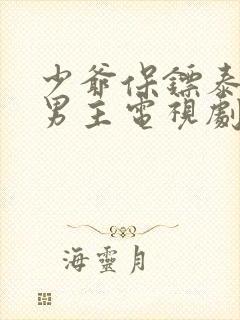 少爷保镖泰剧双男主电视剧