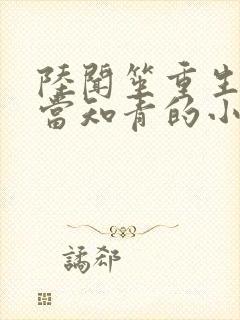 陆闻笙重生下乡当知青的小说