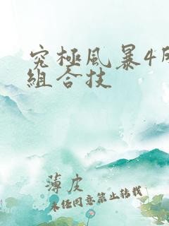 究极风暴4所有组合技