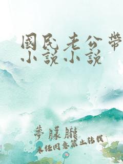 国民老公带回家小说小说