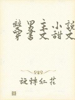 双男主小说推荐穿书文甜文